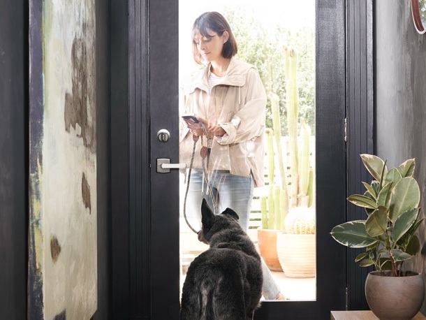 Dog walker using smart lock