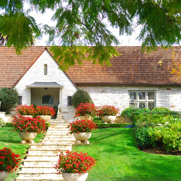 Exterior of a house and front yard.